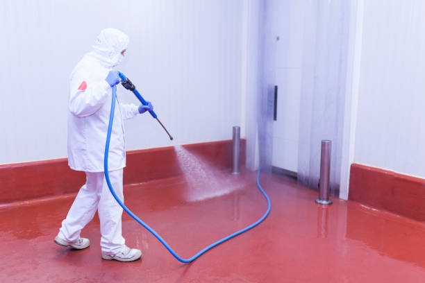 Best Spring Cleaning  in West Brownsville, PA